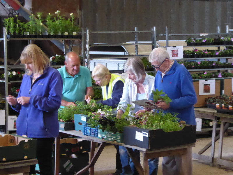 Plant Sale - order checking